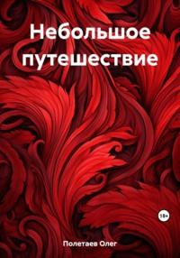 Небольшое путешествие, аудиокнига Олега Юрьевича Полетаева. ISDN69554179