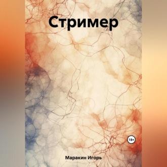 Стример, audiobook Игоря Александровича Маракина. ISDN69564679