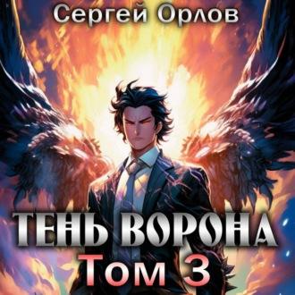 Тень Ворона – 3 - Сергей Орлов