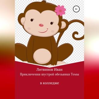 Приключения шустрой обезьянки Томы в колледже - Иван Литвинов