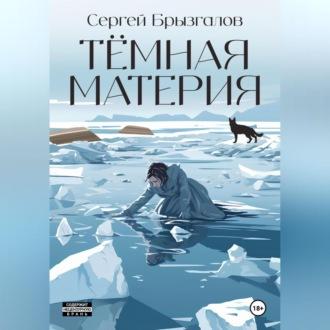 Тёмная материя, audiobook Сергея Владимировича Брызгалова. ISDN69604789