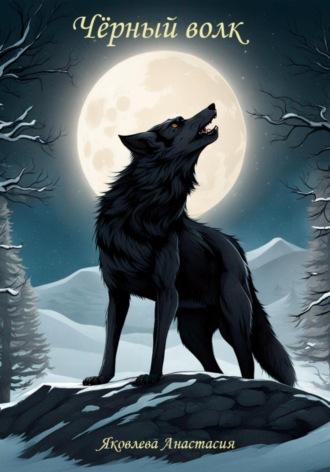 Чёрный волк, аудиокнига Анастасии Вячеславовны Яковлевой. ISDN69607354