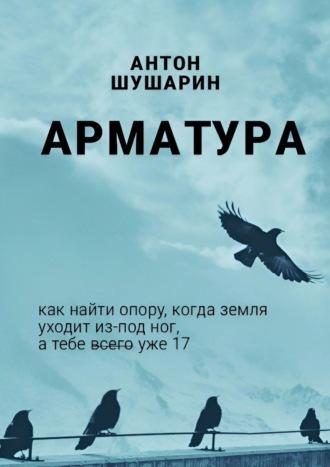 Арматура, audiobook Антона Шушарина. ISDN69609124