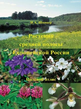 Растения средней полосы Европейской России. Полевой атлас - Иван Шанцер