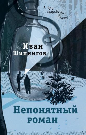 Непонятный роман, аудиокнига Ивана Шипнигова. ISDN69752869