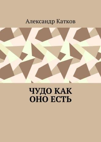 Чудо как оно есть, аудиокнига Александра Лазаревича Каткова. ISDN69800872