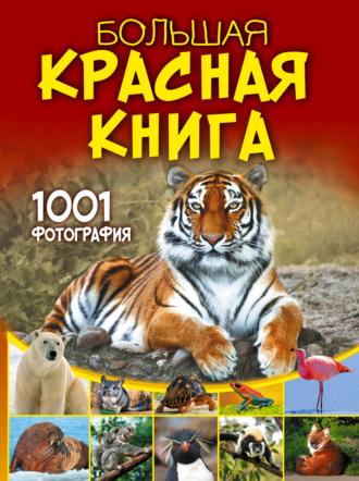 Большая красная книга. 1001 фотография - Анна Спектор