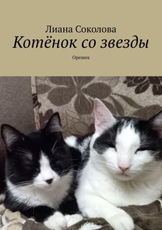 Котёнок со звезды. Орешек - Лиана Соколова