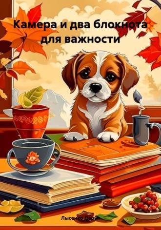 Камера и два блокнота для важности, audiobook Дарьи Лысенко. ISDN69824701