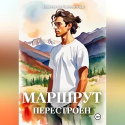 Маршрут перестроен, audiobook Анастасии Липенгольц. ISDN69830812