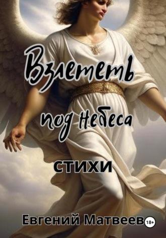 Взлететь под небеса, audiobook Евгения Матвеева. ISDN69831271