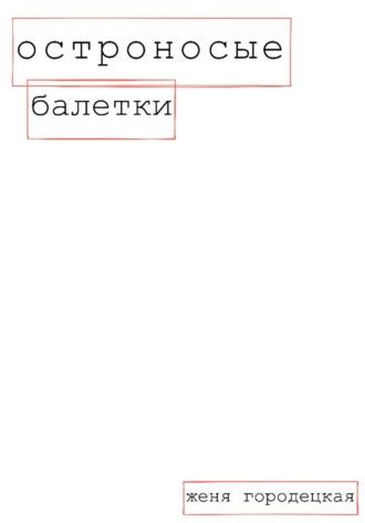 Остроносые балетки - Женя Городецкая