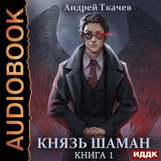 Князь шаман. Книга 1, audiobook Андрея Ткачева. ISDN69836776