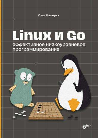 Linux и Go. Эффективное низкоуровневое программирование, аудиокнига Олега Цилюрика. ISDN69842341