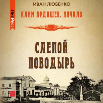 Слепой поводырь, audiobook Ивана Любенко. ISDN69852988