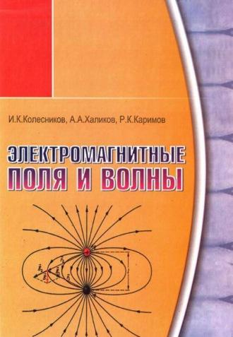 Электромагнитные поля и волны, audiobook А.  Халикова. ISDN69866188