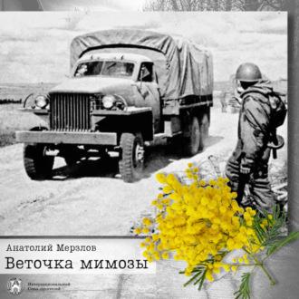 Веточка мимозы, audiobook Анатолия Мерзлова. ISDN69867538