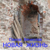 Новая жизнь - Вячеслав Панов