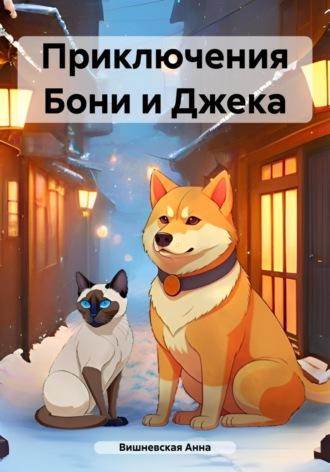 Приключения Бони и Джека, аудиокнига Анны Вишневской. ISDN69892741