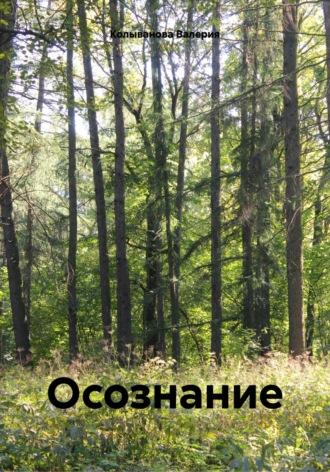 Осознание, аудиокнига Валерии Колывановой. ISDN69898555