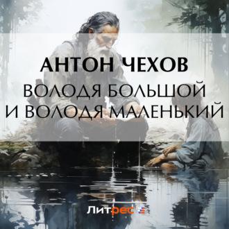 Володя большой и Володя маленький, audiobook Антона Чехова. ISDN69919822