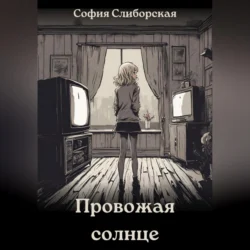 Провожая солнце - София Слиборская