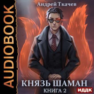Князь шаман. Книга 2, audiobook Андрея Ткачева. ISDN69924022