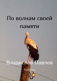 По волнам своей памяти. Рассказы, аудиокнига Владислава Павлова. ISDN69942442