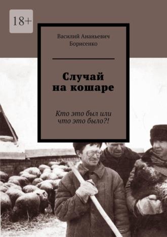 Случай на кошаре. Кто это был или что это было?!, аудиокнига Василия Ананьевича Борисенко. ISDN69978910