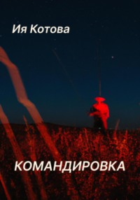 Командировка, audiobook Ии Котовой. ISDN69979999