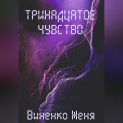 Тринадцатое чувство - Женя Виненко