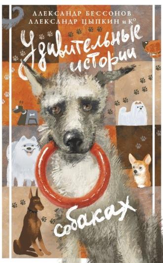 Удивительные истории о собаках, аудиокнига Александра Цыпкина. ISDN70035037