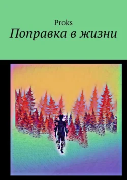 Поправка в жизни -  Proks