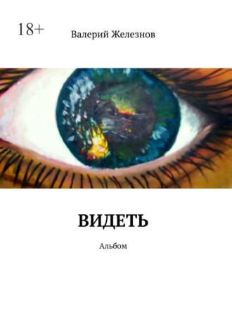 Видеть. Альбом, audiobook Валерия Железнова. ISDN70050628