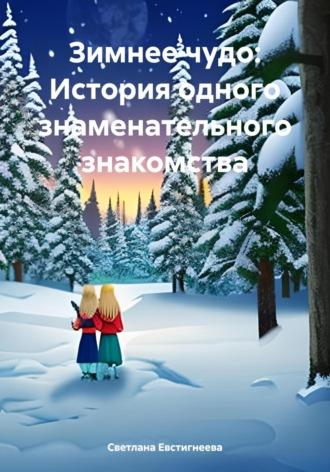 Зимнее чудо: История одного знаменательного знакомства - Светлана Евстигнеева