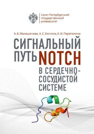 Сигнальный путь Notch в сердечно-сосудистой системе, audiobook Анны Малашичевой. ISDN70079377