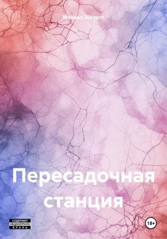 Пересадочная станция, audiobook Михаила Васильевича Шелеста. ISDN70087492