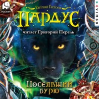 Пардус. Посеявший бурю, audiobook Евгения Гаглоева. ISDN70103182