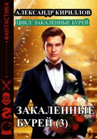 Закаленные бурей 3 - Александр Кириллов