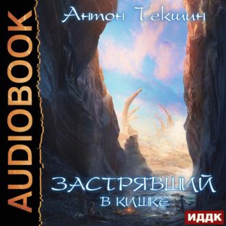 Застрявший в Кишке, audiobook Антона Текшина. ISDN70184509