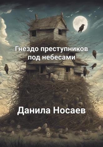 Гнездо преступников под небесами - Данила Носаев