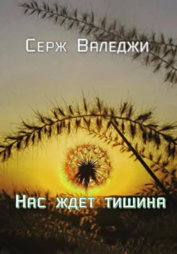 Нас ждет тишина, audiobook Сержа Валеджи. ISDN70209298