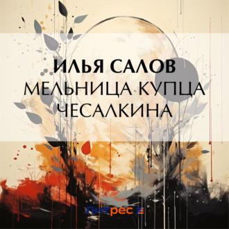 Мельница купца Чесалкина - Илья Салов