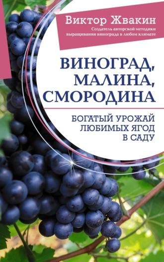 Виноград, малина, смородина. Богатый урожай любимых ягод в саду, аудиокнига Виктора Жвакина. ISDN70244461