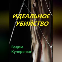 Идеальное убийство - Вадим Кучеренко