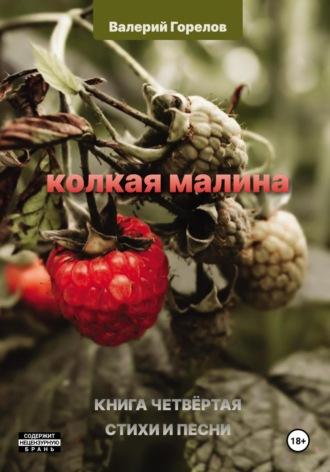 Колкая малина. Книга четвёртая, аудиокнига Валерия Горелова. ISDN70257379