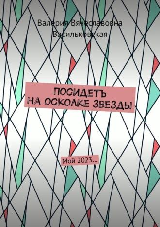 Посидеть на осколке звезды. Мой 2023…, аудиокнига Валерии Вячеславовны Васильковской. ISDN70261576