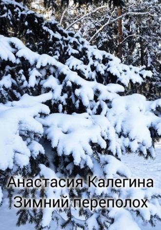 Зимний переполох, audiobook Анастасии Калегиной. ISDN70275598