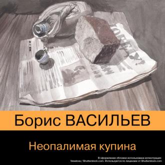 Неопалимая купина, audiobook Бориса Васильева. ISDN70291771