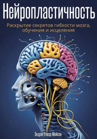 Нейропластичность: Раскрытие секретов гибкости мозга, обучения и исцеления, książka audio Эндрю Уокера-Мейсона. ISDN70293436